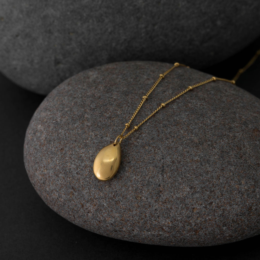 Seed Charm Necklace - 18kt gold Vermeil